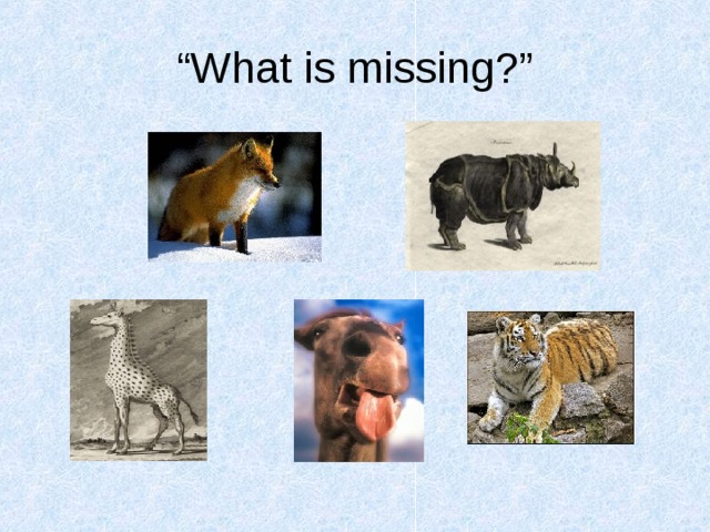 “ What is missing?” 