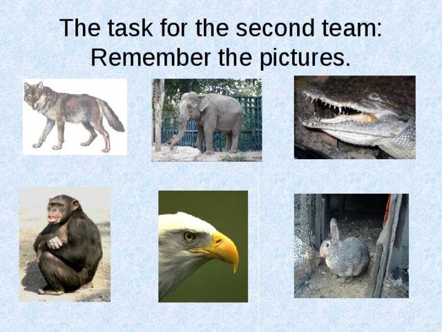 The task for the second team: Remember the pictures. 