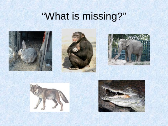 “ What is missing?” 