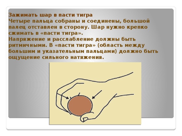 Зажимать шар в пасти тигра  Четыре пальца собраны и соединены, большой палец отставлен в сторону. Шар нужно крепко сжимать в «пасти тигра».  Напряжение и расслабление должны быть ритмичными. В «пасти тигра» (область между большим и указательным пальцами) должно быть ощущение сильного натяжения. 