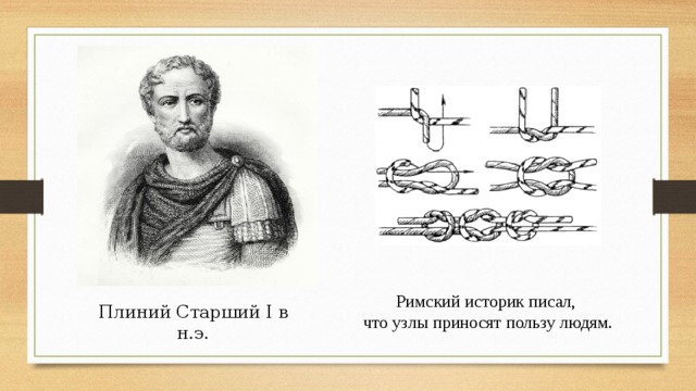 Римские историки. Презентация послушные узелки. Мелли Плиний. Плиний старший саламандра.