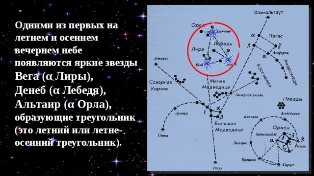 Одними из первых на летнем и осеннем вечернем небе появляются яркие звезды Вега (α Лиры), Денеб (α Лебедя), Альтаир (α Орла), образующие треугольник (это летний или летне-осенний треугольник). 