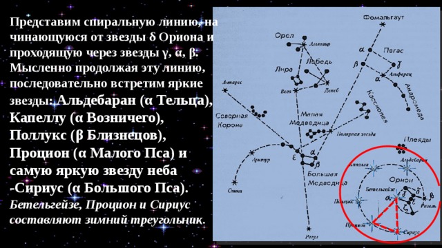 Представим спиральную линию, на­чинающуюся от звезды δ Ориона и проходящую через звезды γ, α, β. Мысленно продолжая эту линию, последовательно встретим яркие звезды: Альдебаран (α Тельца), Капеллу (α Воз­ничего), Поллукс (β Близнецов), Процион (α Ма­лого Пса) и самую яркую звезду неба -Сириус (α Большого Пса). Бетельгейзе, Процион и Си­риус составляют зимний треугольник. 