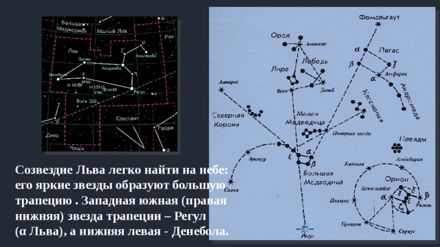  Созвездие Льва легко найти на небе: его яркие звезды образу­ют большую трапецию . Западная южная (правая нижняя) звезда трапеции – Регул (α Льва), а нижняя левая - Денебола. 
