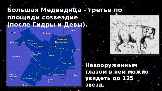  Большая Медведица - третье по площади созвездие (после Гидры и Девы). Невооруженным глазом в нем можно увидеть до 125 звезд. 