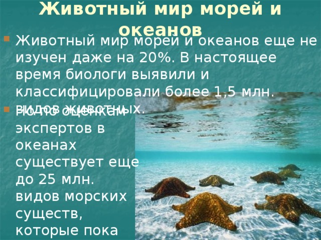 Животный мир морей и океанов Животный мир морей и океанов еще не изучен даже на 20%. В настоящее время биологи выявили и классифицировали более 1,5 млн. видов животных. Но по оценкам экспертов в океанах существует еще до 25 млн. видов морских существ, которые пока никак не изучены. 