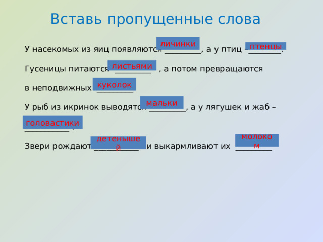 Вставь пропущенные слова личинки У насекомых из яиц появляются _________, а у птиц –________. птенцы Гусеницы питаются _________ , а потом превращаются в неподвижных _________. У рыб из икринок выводятся _________, а у лягушек и жаб – ___________ . Звери рождают ___________ и выкармливают их _________ листьями куколок мальки головастики молоком детенышей 