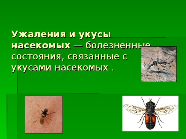 Ужаления и укусы насекомых  — болезненные состояния, связанные с укусами насекомых . 
