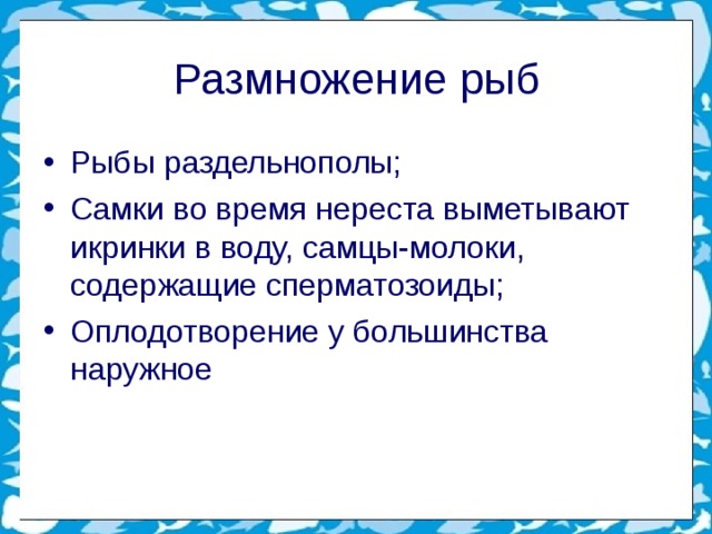 Размножение рыб Рыбы раздельнополы; Самки во время нереста выметывают икринки в воду, самцы-молоки, содержащие сперматозоиды; Оплодотворение у большинства наружное        