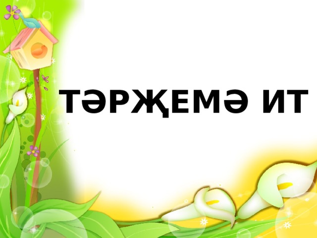 ТӘРҖЕМӘ ИТ 