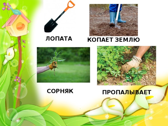 ЛОПАТА КОПАЕТ ЗЕМЛЮ СОРНЯК ПРОПАЛЫВАЕТ 