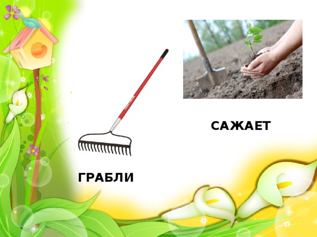 САЖАЕТ ГРАБЛИ 