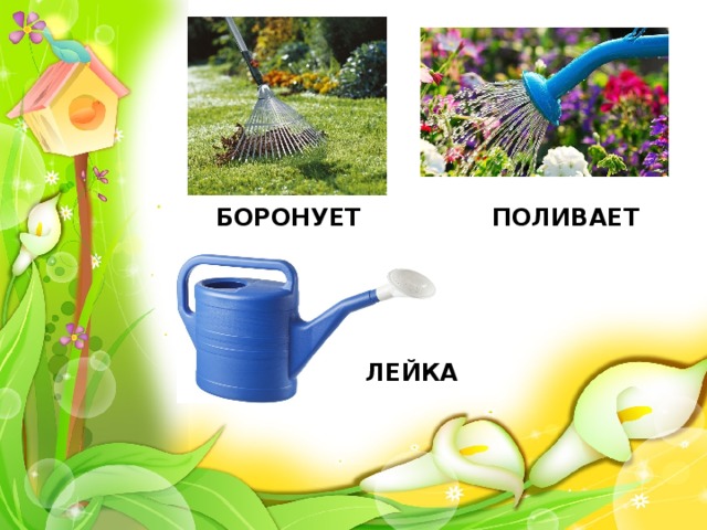 БОРОНУЕТ ПОЛИВАЕТ ЛЕЙКА 