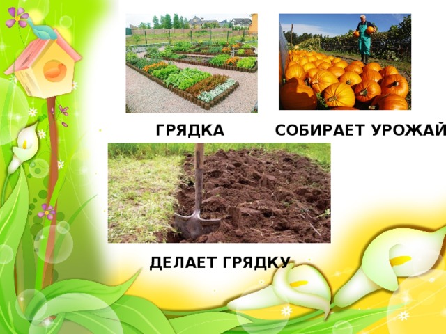 ГРЯДКА СОБИРАЕТ УРОЖАЙ ДЕЛАЕТ ГРЯДКУ 