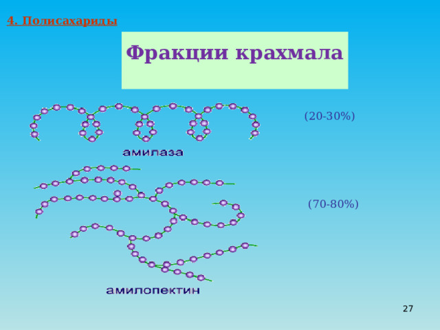 4. Полисахариды  Фракции крахмала  (20-30%) (70-80%) 20 