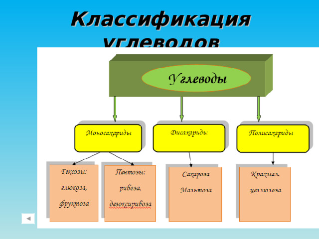 Классификация углеводов 