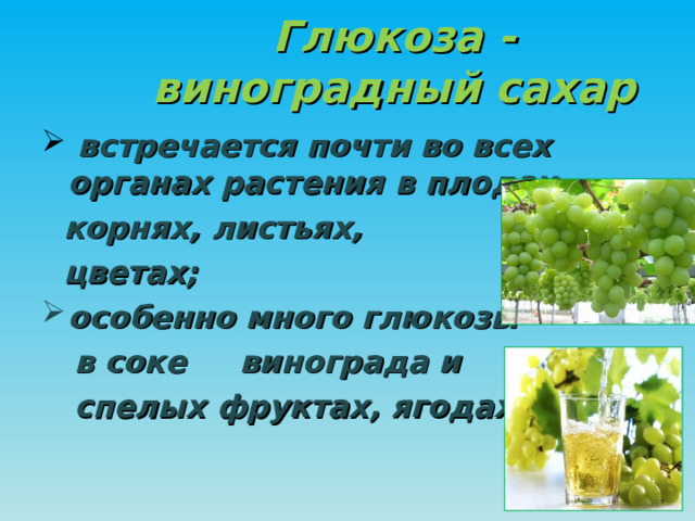 Глюкоза - виноградный сахар  встречается почти во всех органах растения  в плодах,   корнях,  листьях,  цветах;  особенно много глюкозы  в соке винограда и   спелых фруктах, ягодах.  