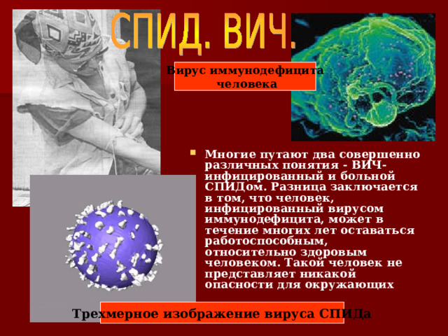 Вирус иммунодефицита  человека Многие путают два совершенно различных понятия - ВИЧ-инфицированный и больной СПИДом. Разница заключается в том, что человек, инфицированный вирусом иммунодефицита, может в течение многих лет оставаться работоспособным, относительно здоровым человеком. Такой человек не представляет никакой опасности для окружающих Трехмерное изображение вируса СПИДа 