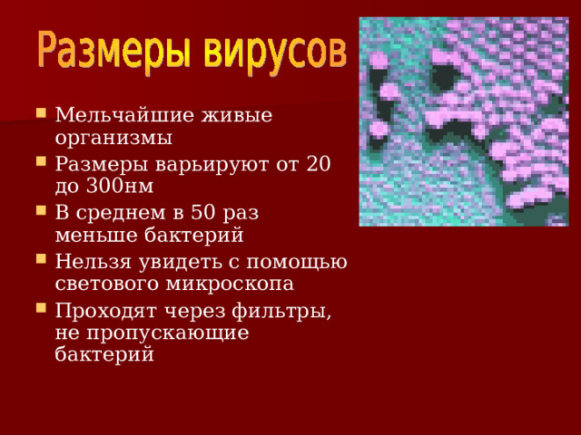 Мельчайшие живые организмы Размеры варьируют от 20 до 300нм В среднем в 50 раз меньше бактерий Нельзя увидеть с помощью светового микроскопа Проходят через фильтры, не пропускающие бактерий 