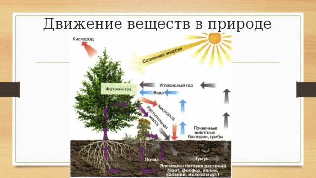 Модель круговорота веществ 3 класс. Модель по окружающему миру 3 класс круговорот веществ в природе. Модель круговорота веществ по окружающему миру 3 класс. Модель круговорота веществ на земле. Модель круговорота веществ в природе 3.