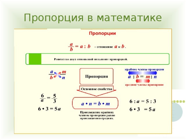 Тема пропорции