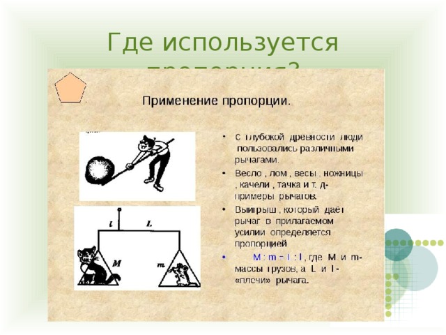 Проект по математике в 6 классе "Пропорции вокруг нас. Золотое сечение"