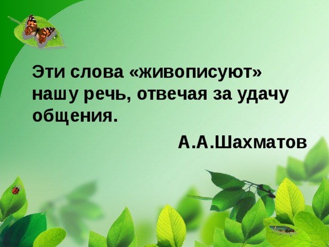  Эти слова «живописуют» нашу речь, отвечая за удачу общения.  А.А.Шахматов 