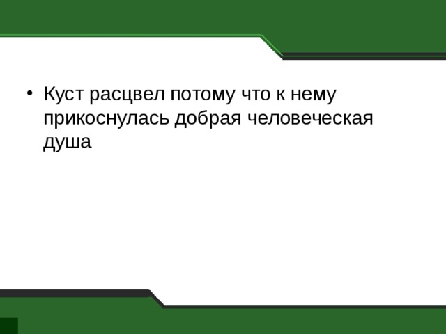 Куст расцвел потому что к нему прикоснулась добрая человеческая душа 