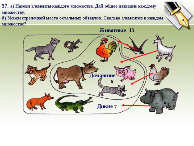 Какой из элементов картинки неверно отнесен к соответствующей группе объектов множеству