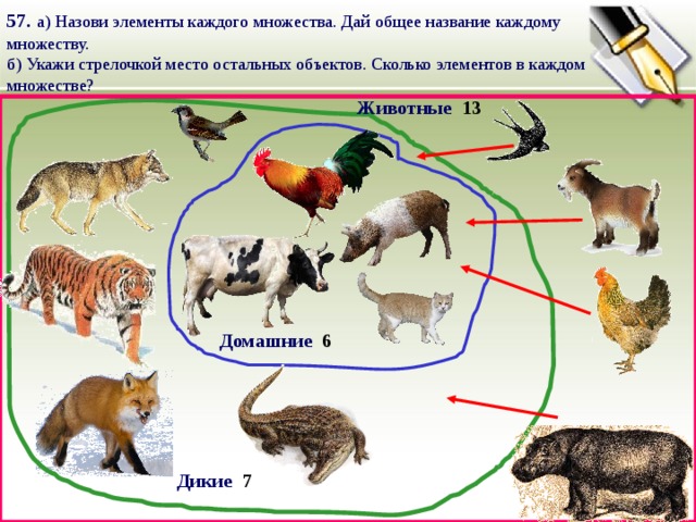 57.  а)  Назови элементы каждого множества. Дай общее название каждому множеству. б) Укажи стрелочкой место остальных объектов. Сколько элементов в каждом множестве? Животные 13 Домашние 6 7 Дикие 