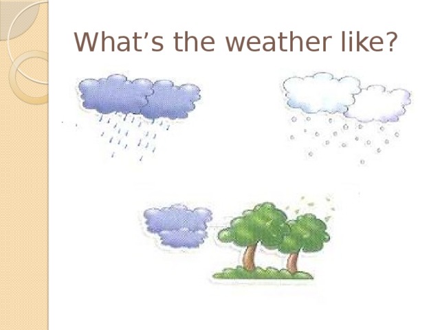 What’s the weather like? 