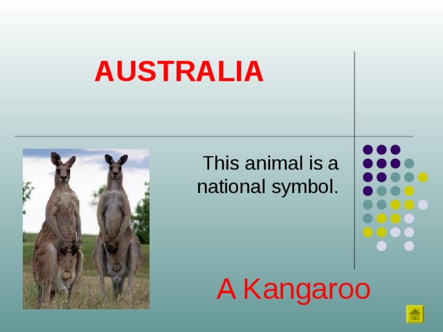 AUSTRALIA This animal is a national symbol. A Kangaroo 
