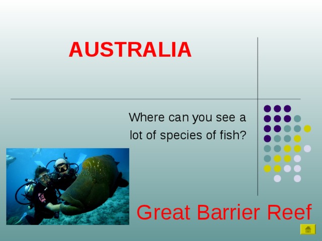 AUSTRALIA Where can you see a  lot of species of fish? Great Barrier Reef 