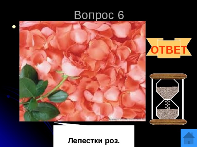 В честь какого полководца немецкими захватчиками был назван один из планов