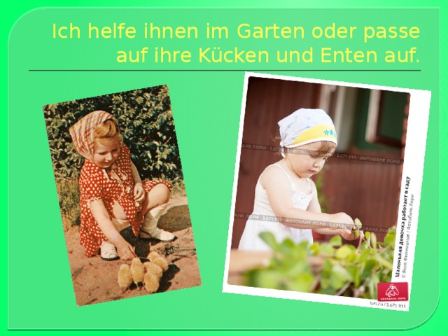 Ich helfe ihnen im Garten oder passe auf ihre Kücken und Enten auf. 