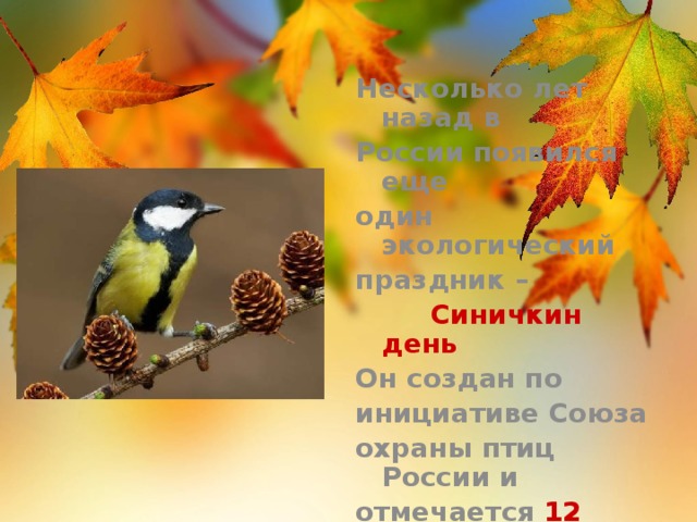 Несколько лет назад в России появился еще один экологический праздник –  Синичкин день  Он создан по инициативе Союза охраны птиц России и отмечается 12 ноября 