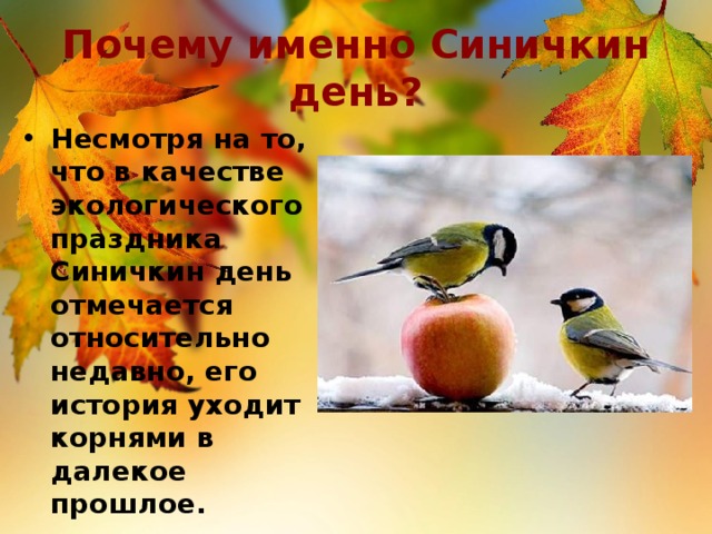 Почему именно Синичкин день? Несмотря на то, что в качестве экологического праздника Синичкин день отмечается относительно недавно, его история уходит корнями в далекое прошлое. 