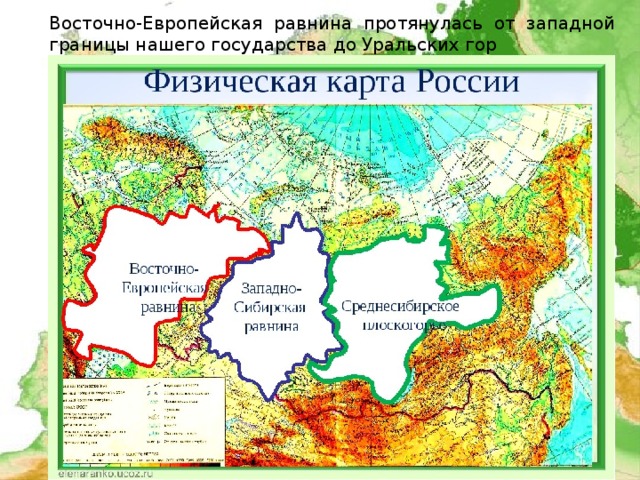 Восточно-Европейская равнина протянулась от западной границы нашего государства до Уральских гор 