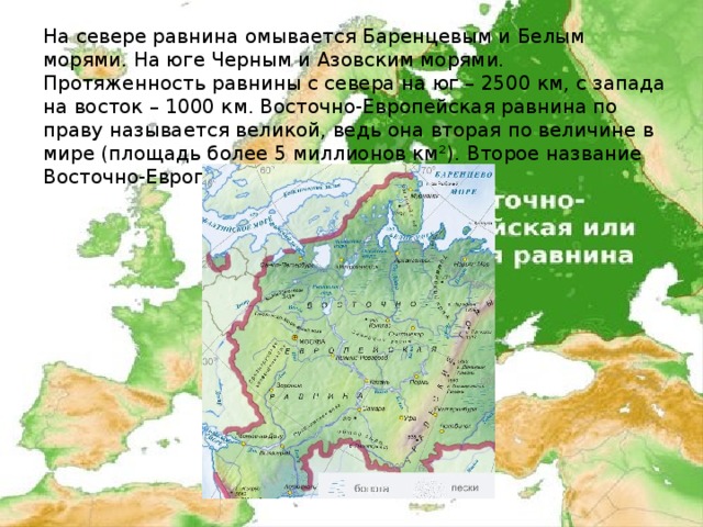 Восточно европейская равнина сходства и различия