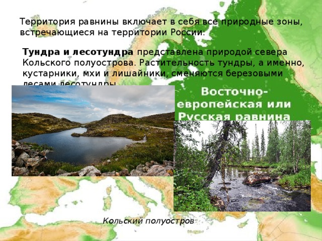 Территория равнины включает в себя все природные зоны, встречающиеся на территории России: Тундра и лесотундра представлена природой севера Кольского полуострова. Растительность тундры, а именно, кустарники, мхи и лишайники, сменяются березовыми лесами лесотундры. Кольский полуостров 