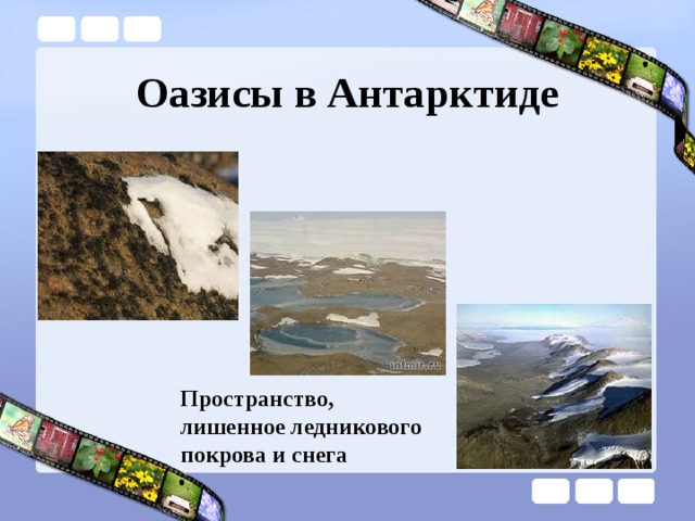 Оазисы в Антарктиде Пространство, лишенное ледникового покрова и снега 