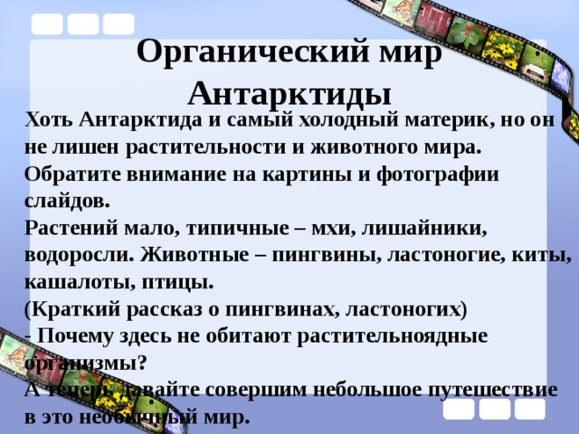 Органический мир Антарктиды Хоть Антарктида и самый холодный материк, но он не лишен растительности и животного мира. Обратите внимание на картины и фотографии слайдов. Растений мало, типичные – мхи, лишайники, водоросли. Животные – пингвины, ластоногие, киты, кашалоты, птицы. (Краткий рассказ о пингвинах, ластоногих) - Почему здесь не обитают растительноядные организмы? А теперь давайте совершим небольшое путешествие в это необычный мир. 