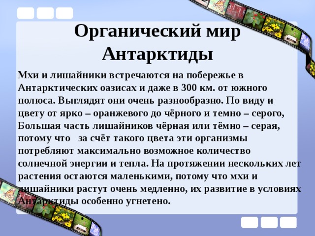 Органический мир Антарктиды Мхи и лишайники встречаются на побережье в Антарктических оазисах и даже в 300 км. от южного полюса. Выглядят они очень разнообразно. По виду и цвету от ярко – оранжевого до чёрного и темно – серого, Большая часть лишайников чёрная или тёмно – серая, потому что за счёт такого цвета эти организмы потребляют максимально возможное количество солнечной энергии и тепла. На протяжении нескольких лет растения остаются маленькими, потому что мхи и лишайники растут очень медленно, их развитие в условиях Антарктиды особенно угнетено. 