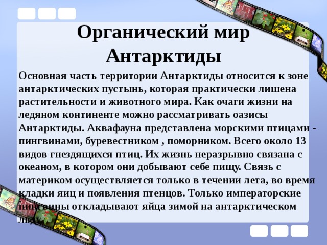 Органический мир Антарктиды Основная часть территории Антарктиды относится к зоне антарктических пустынь, которая практически лишена растительности и животного мира. Как очаги жизни на ледяном континенте можно рассматривать оазисы Антарктиды. Аквафауна представлена морскими птицами - пингвинами, буревестником , поморником. Всего около 13 видов гнездящихся птиц. Их жизнь неразрывно связана с океаном, в котором они добывают себе пищу. Связь с материком осуществляется только в течении лета, во время кладки яиц и появления птенцов. Только императорские пингвины откладывают яйца зимой на антарктическом льду. 