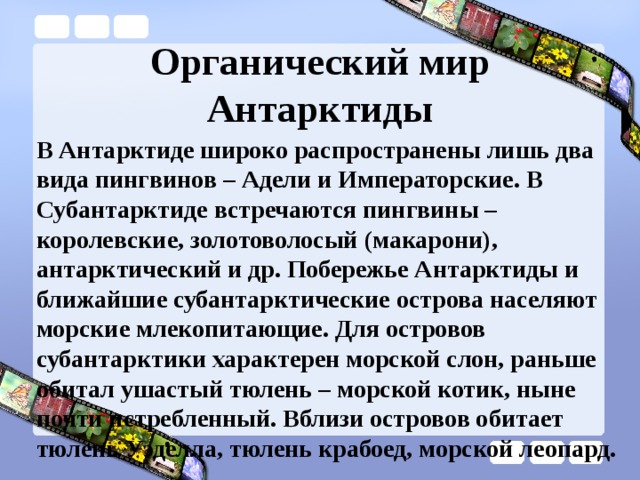 Органический мир Антарктиды В Антарктиде широко распространены лишь два вида пингвинов – Адели и Императорские. В Субантарктиде встречаются пингвины – королевские, золотоволосый (макарони), антарктический и др. Побережье Антарктиды и ближайшие субантарктические острова населяют морские млекопитающие. Для островов субантарктики характерен морской слон, раньше обитал ушастый тюлень – морской котик, ныне почти истребленный. Вблизи островов обитает тюлень Уэделла, тюлень крабоед, морской леопард. 