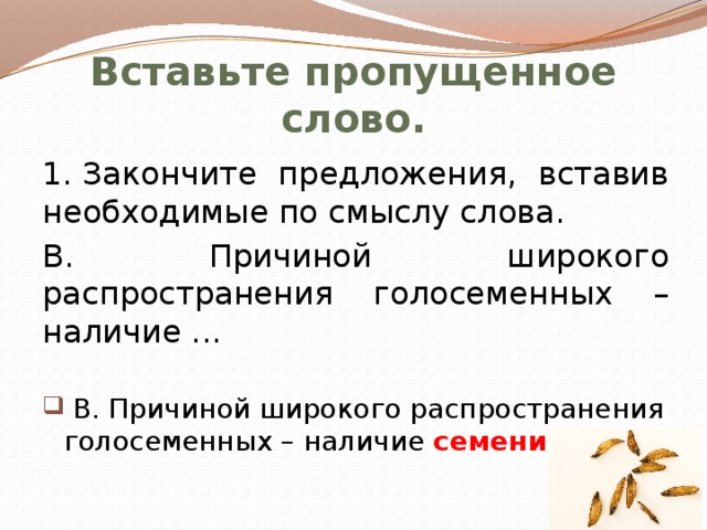 Голосеменные презентация 7 класс биология