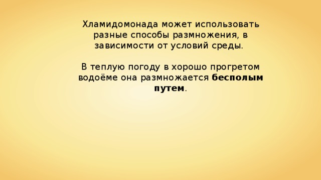 Хламидомонада может использовать разные способы размножения, в зависимости от условий среды. В теплую погоду в хорошо прогретом водоёме она размножается бесполым путем . 