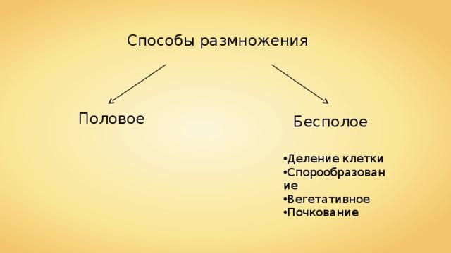 Способы размножения Половое Бесполое Деление клетки Спорообразование Вегетативное Почкование Деление клетки Спорообразование Вегетативное Почкование Деление клетки Спорообразование Вегетативное Почкование 