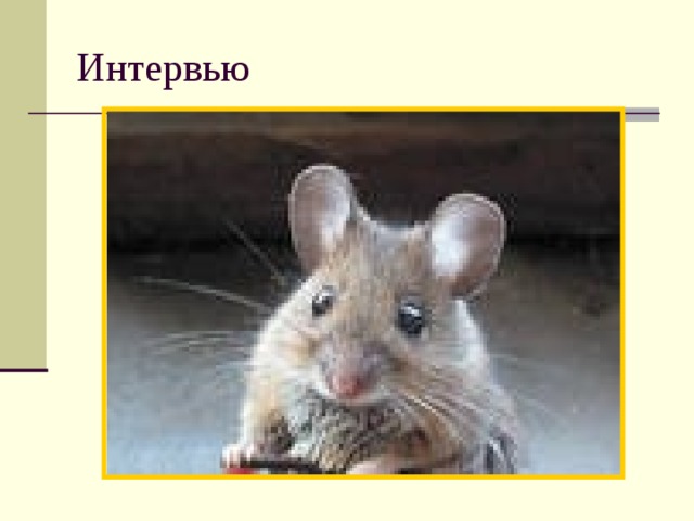 Интервью 