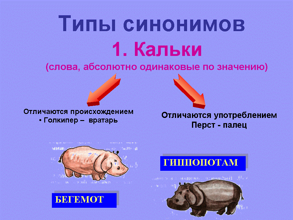 Полная картина синоним